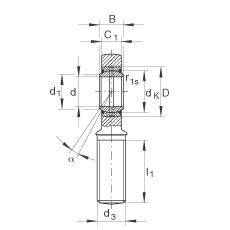 桿端軸承 GAL20-DO, 根據(jù) DIN ISO 12 240-4 標(biāo)準(zhǔn)，帶左旋外螺紋，需維護(hù)