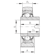 直立式軸承座單元 RASEL30-N, 鑄鐵軸承座，浮動軸承，內(nèi)圈有驅(qū)動槽，R 型密封